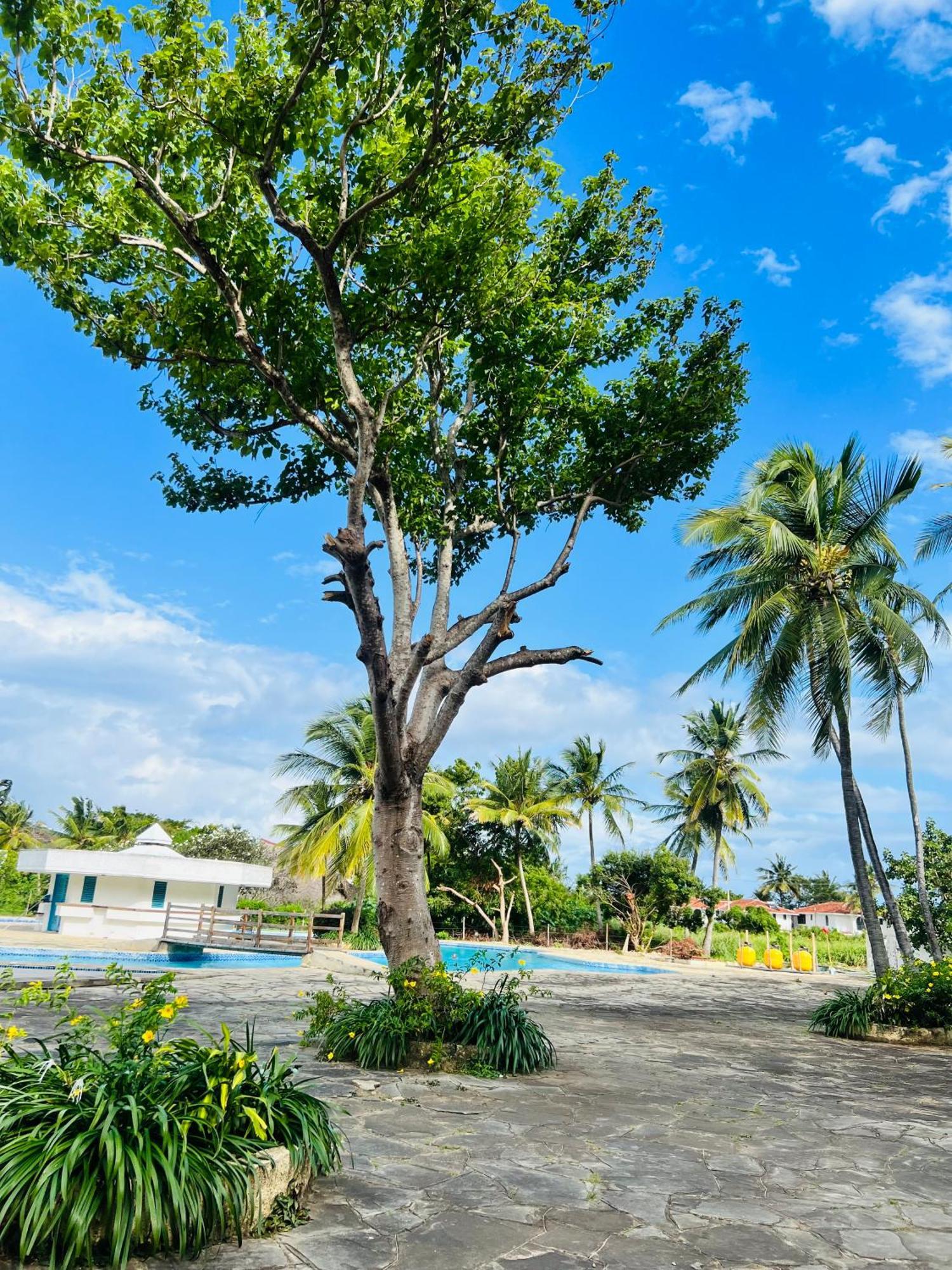 Golden Sun And Apartment Diani Beach
